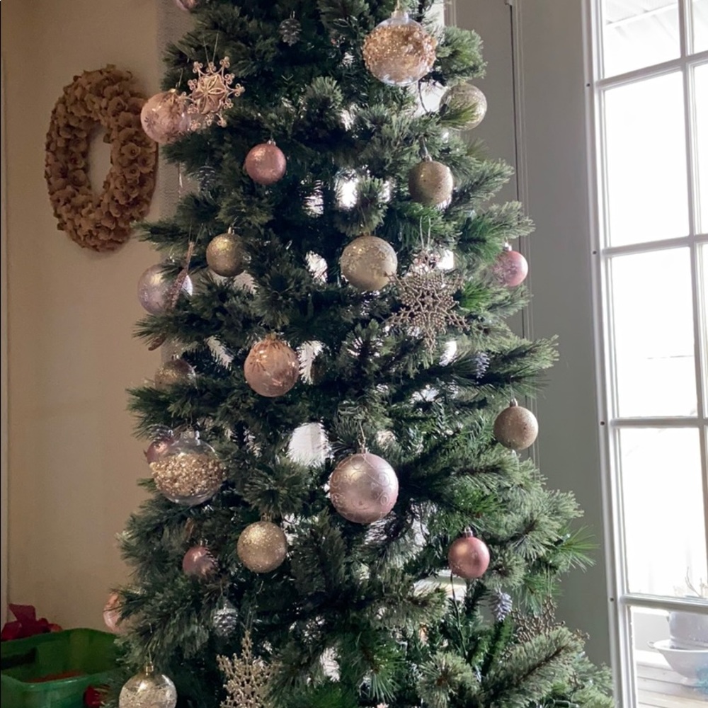 Meet your Posher, Kelly